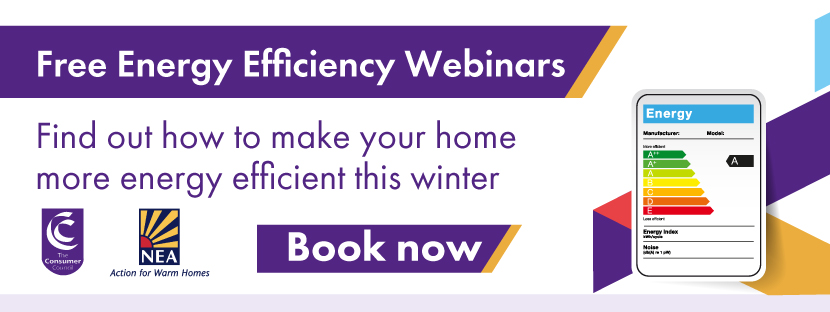 Book Energy Efficiency webinar