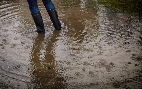 Consumer_flood.jpeg Thumbnail