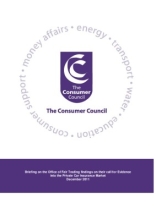 Briefing_on_the_Office_of_Fair_Trading_Call_for_Evidence_into_the_Private_Car_Insurance_Market__final Thumbnail