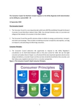 Consumer_Council_response_to_the_Utility_Regulator_draft_determination_on_SONI_price control_2020_25